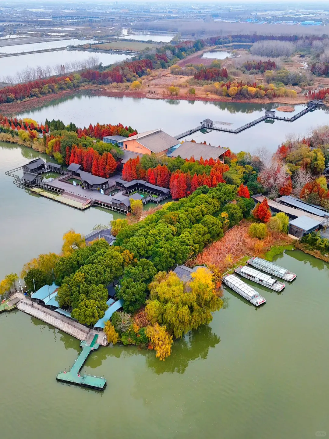 高铁直达,江浙沪被严重低估的湿地公园‼