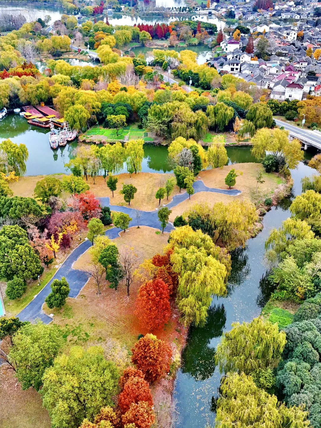 高铁直达,江浙沪被严重低估的湿地公园‼