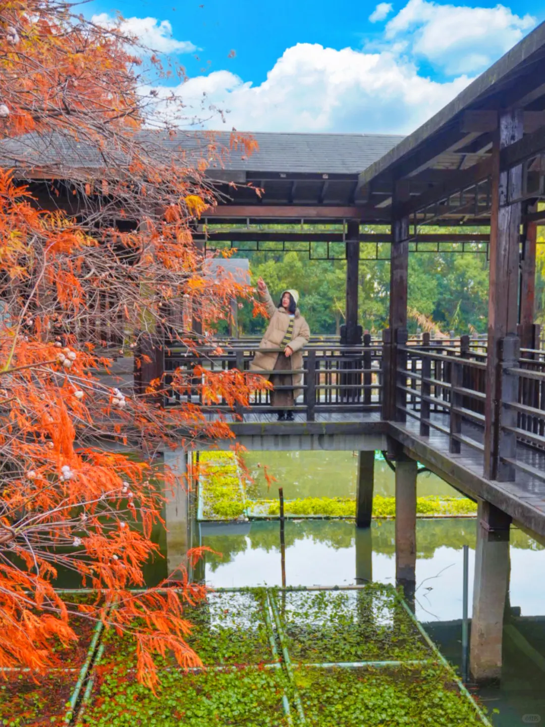 高铁直达,江浙沪被严重低估的湿地公园‼