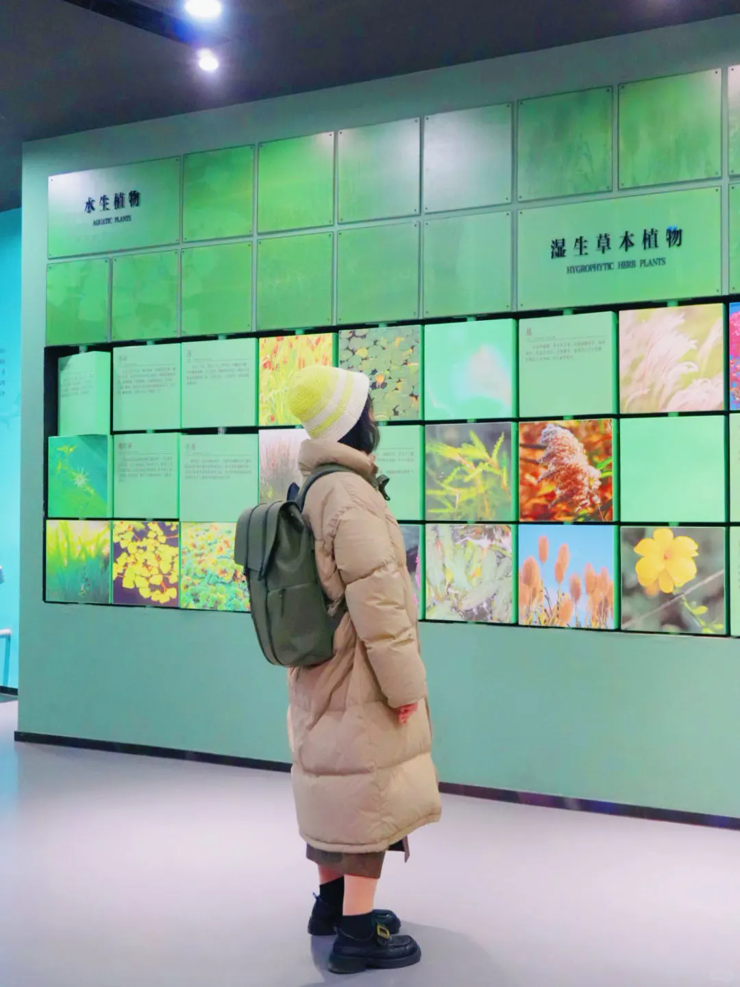 高铁直达,江浙沪被严重低估的湿地公园‼