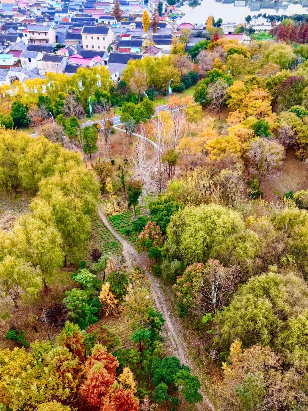 高铁直达,江浙沪被严重低估的湿地公园‼