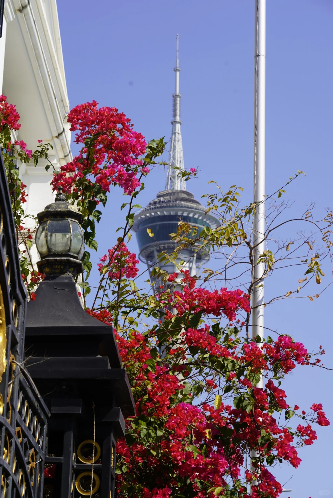 港澳旅行必备|🇲🇴澳门半岛一日游景点推荐