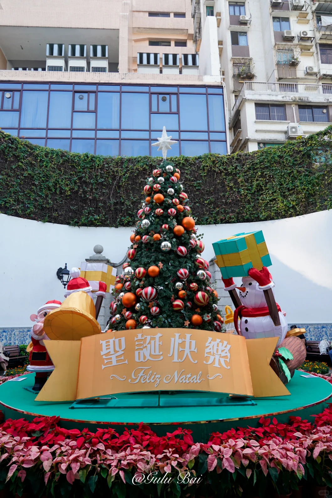 港澳旅行必备|🇲🇴澳门半岛一日游景点推荐