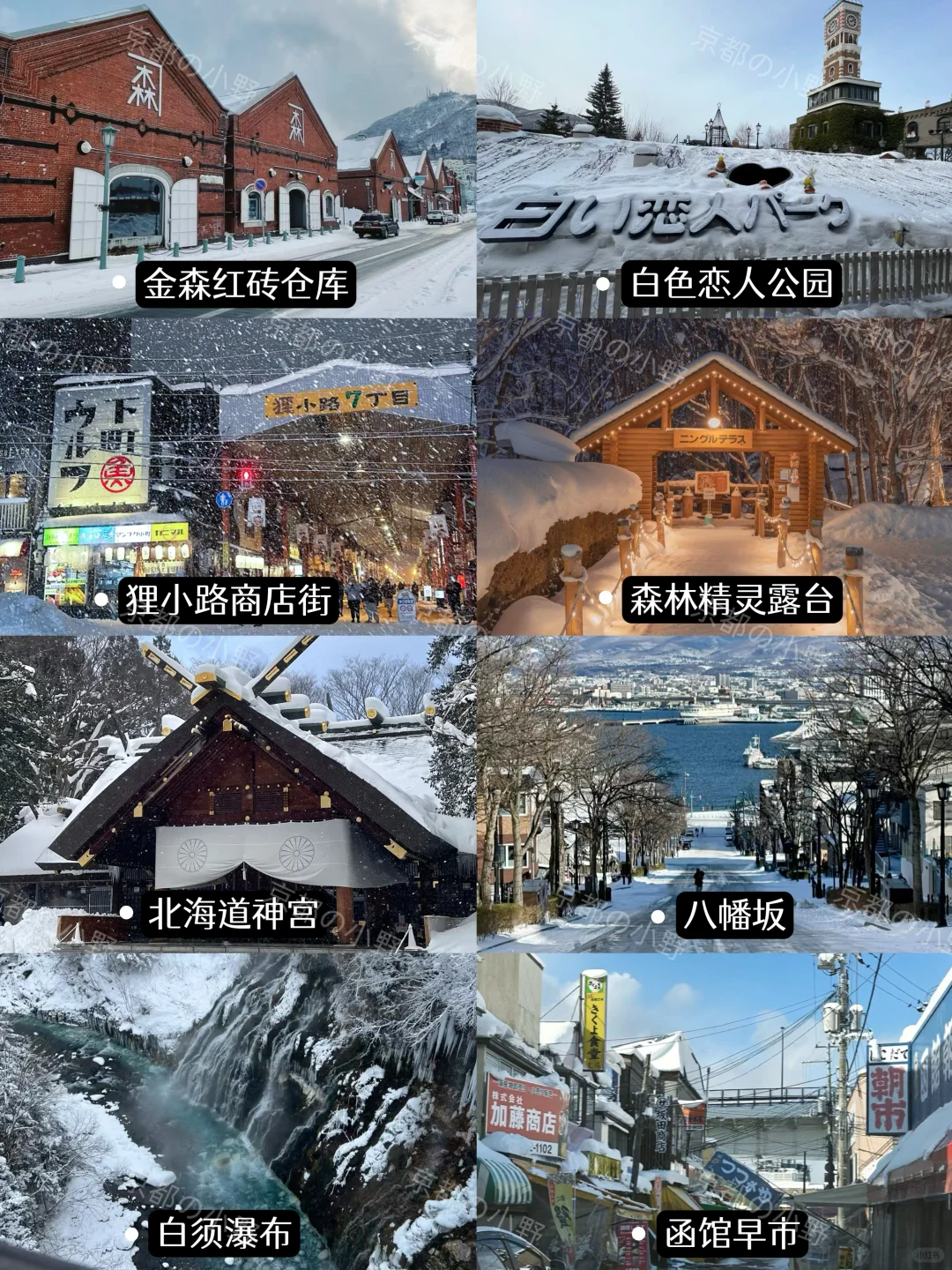 攻略｜🇯🇵终于有人把北海道旅游说清楚了‼️
