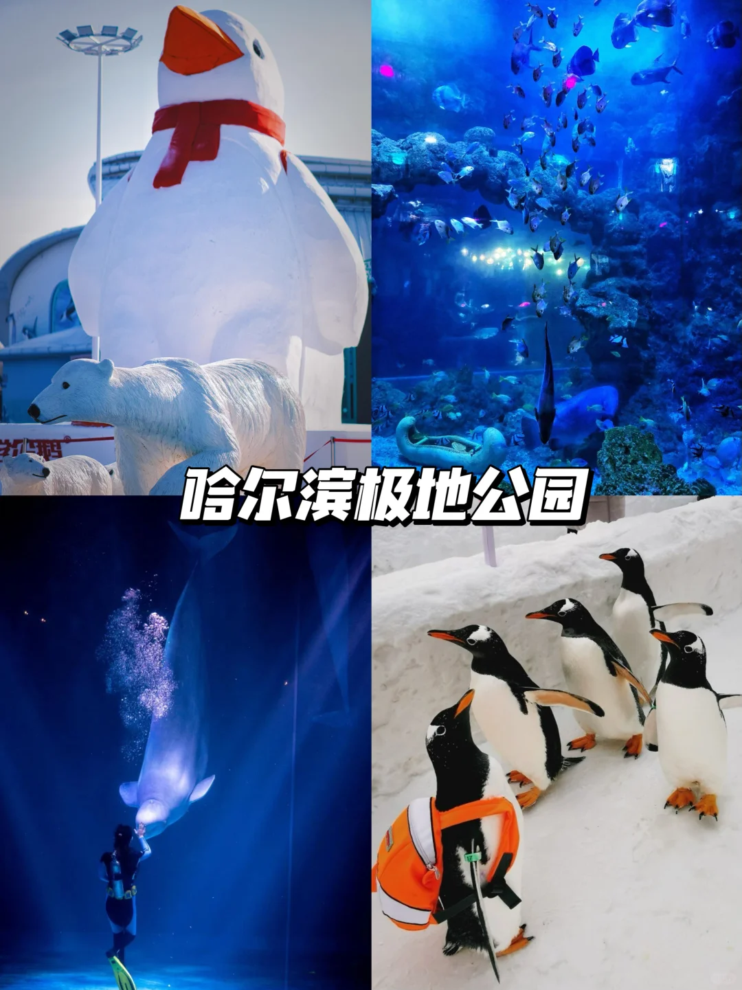 一张地图秒懂哈尔滨｜尔滨10月旅游必去景点