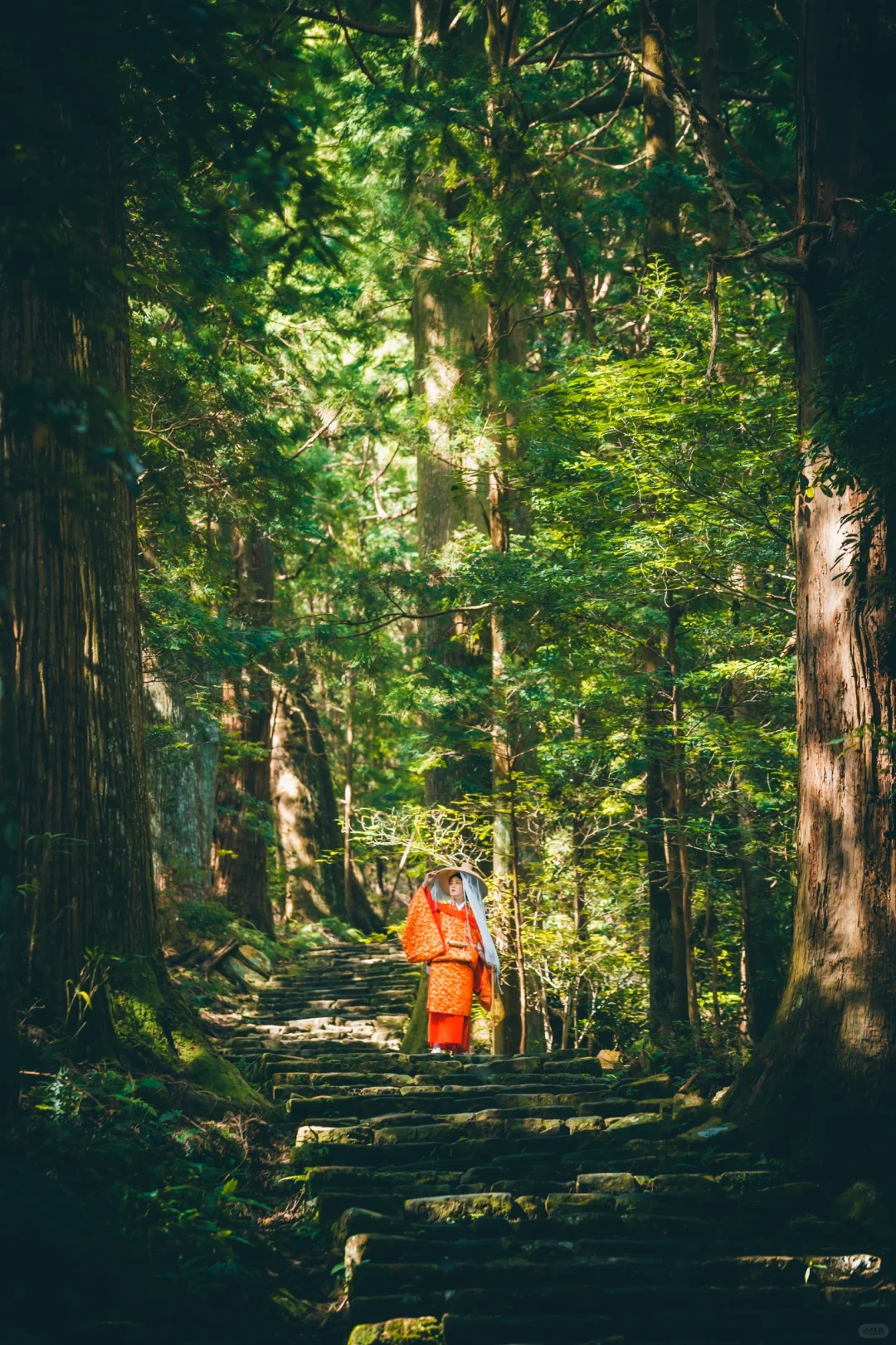 2024旅行结算丨1️⃣8️⃣张日本旅行年度照片！