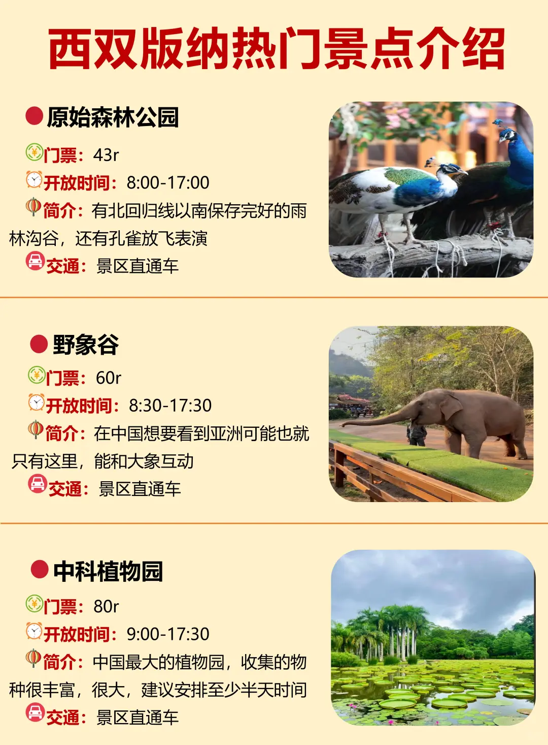 谁懂啊！终于有人把西双版纳旅游讲明白了👏