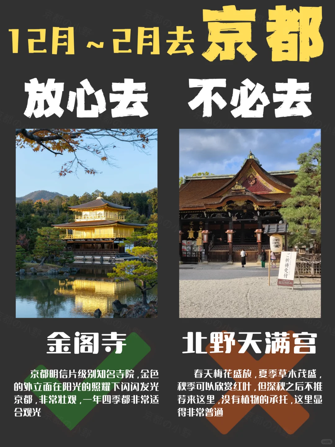 ⚠️12～2🈷️去京都旅游｜放心去✅&不必去❌