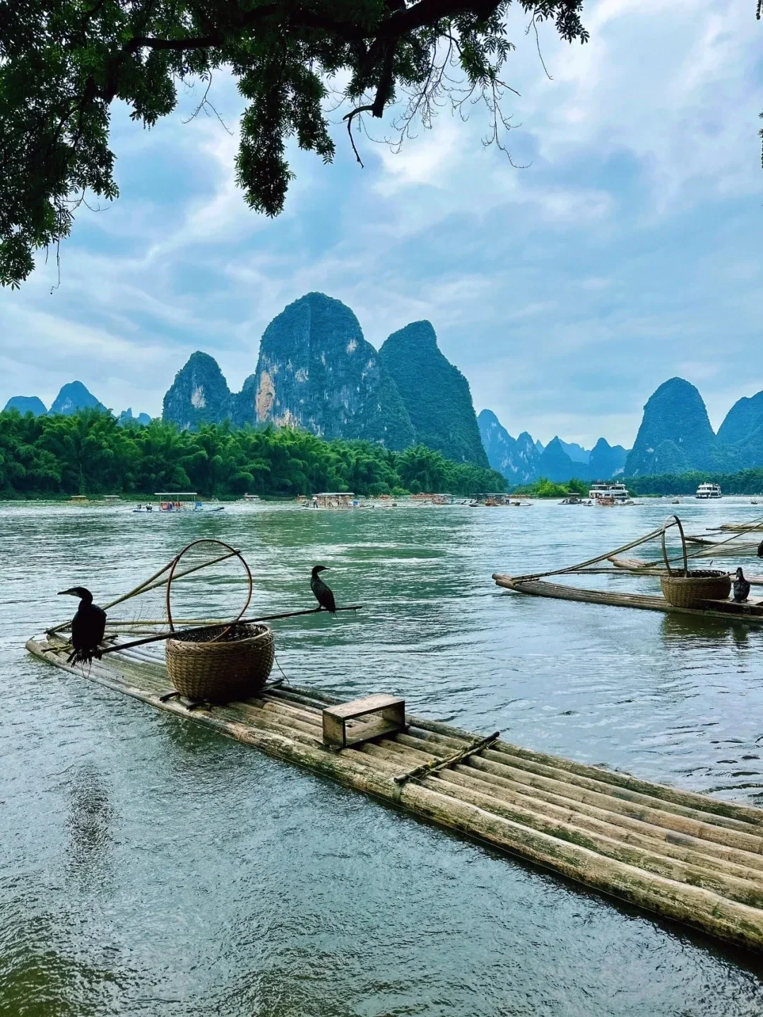 实话很难听，但这就是桂林12-2月淡季情况