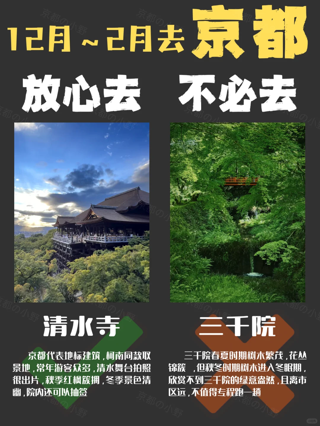 ⚠️12～2🈷️去京都旅游｜放心去✅&不必去❌
