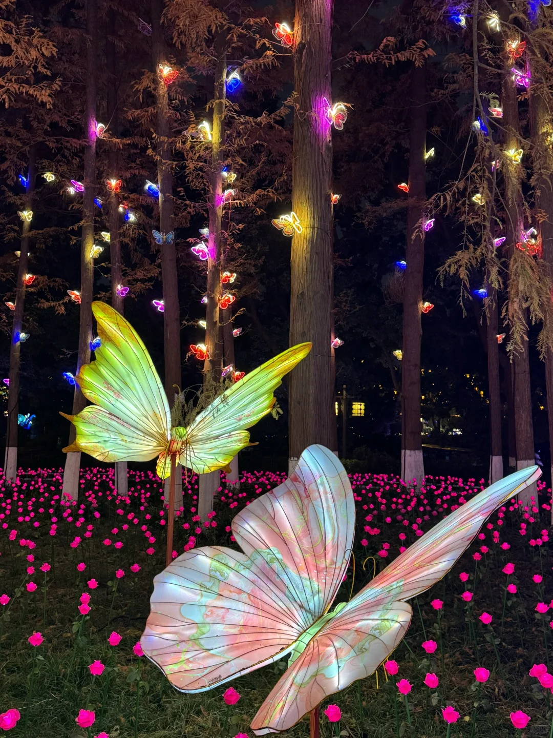 人生建议：抵达南京第➊站从这开始Citywalk