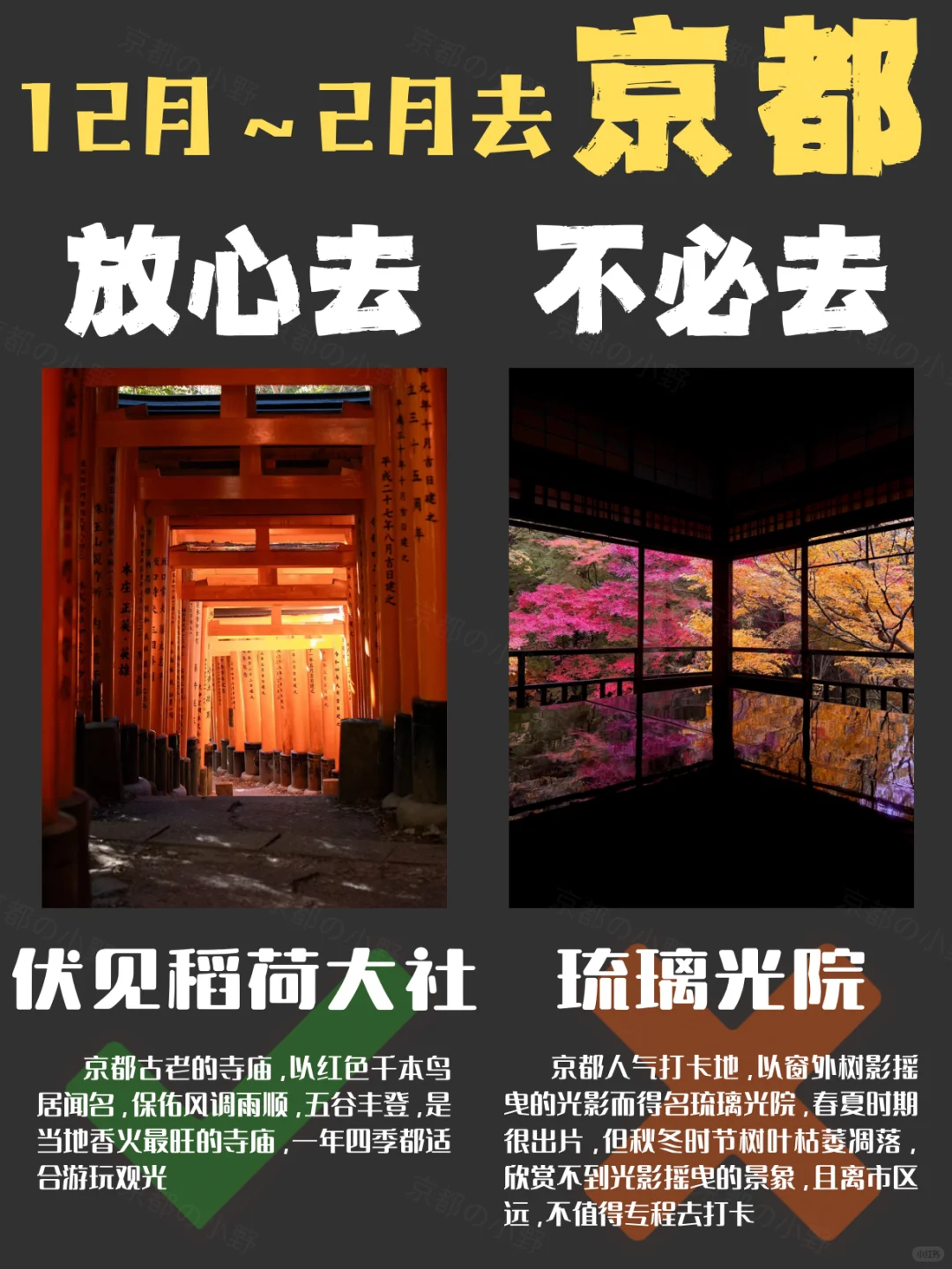 ⚠️12～2🈷️去京都旅游｜放心去✅&不必去❌