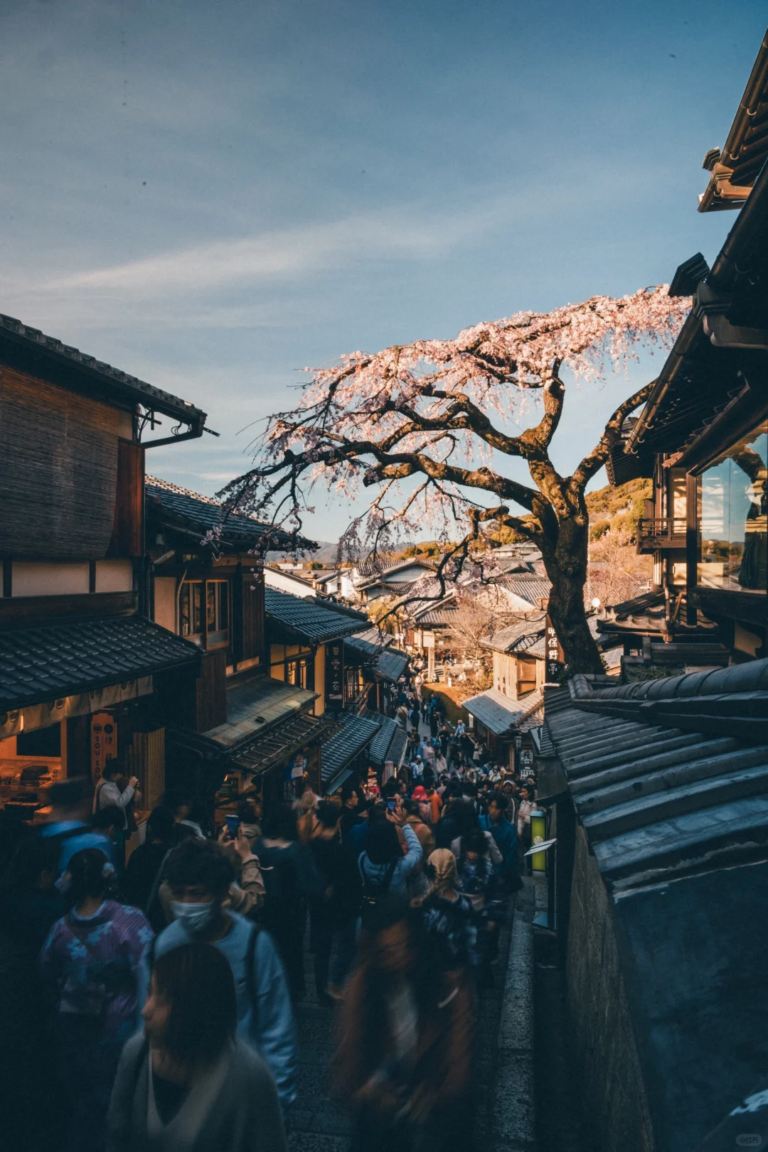 2024旅行结算丨1️⃣8️⃣张日本旅行年度照片！