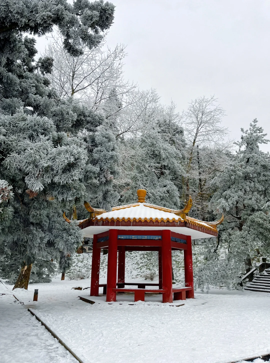 庐山看雪三天两夜保姆攻略来咯！