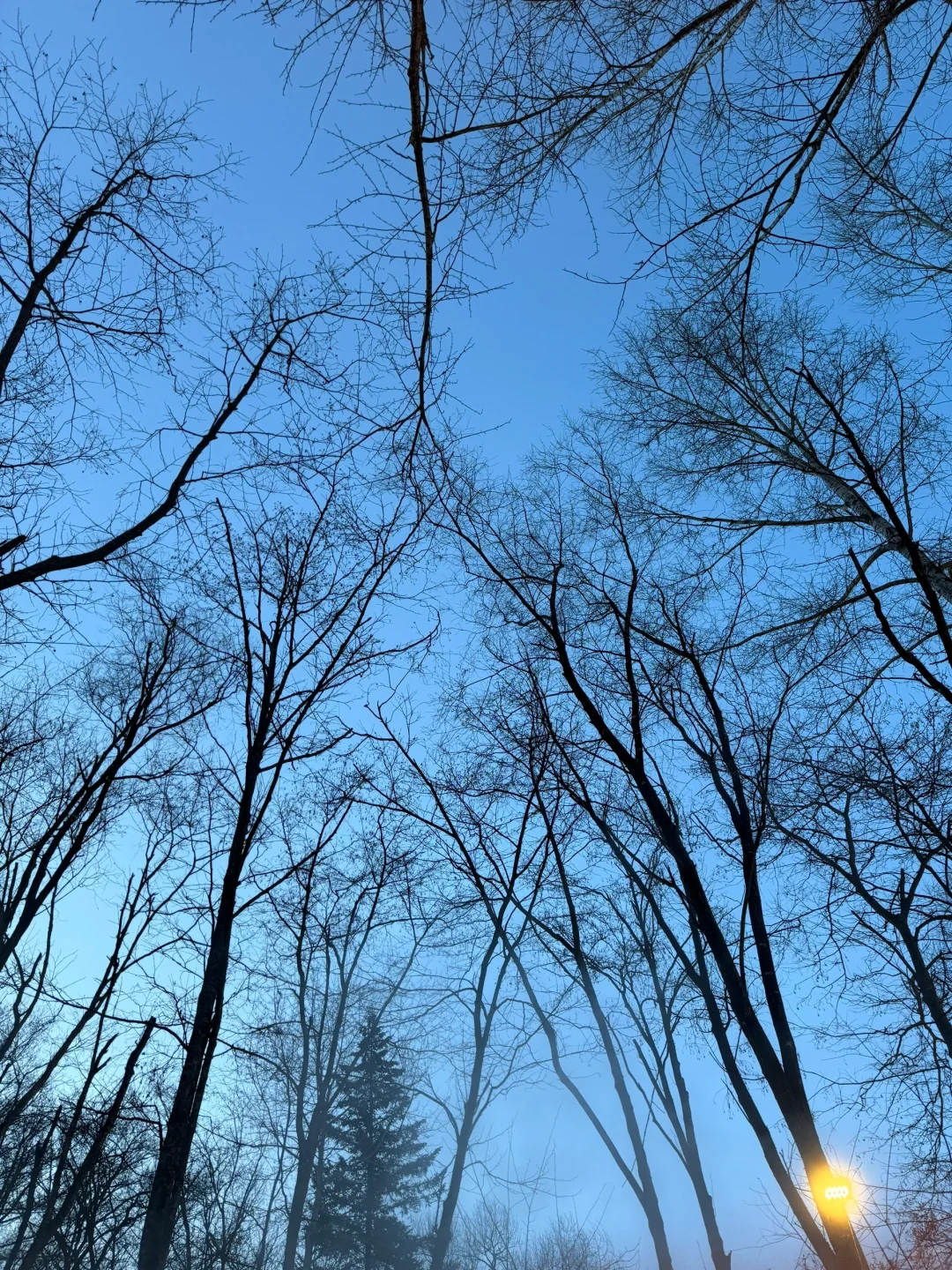 长白山蓝景温泉，雪地里的蓝调时刻