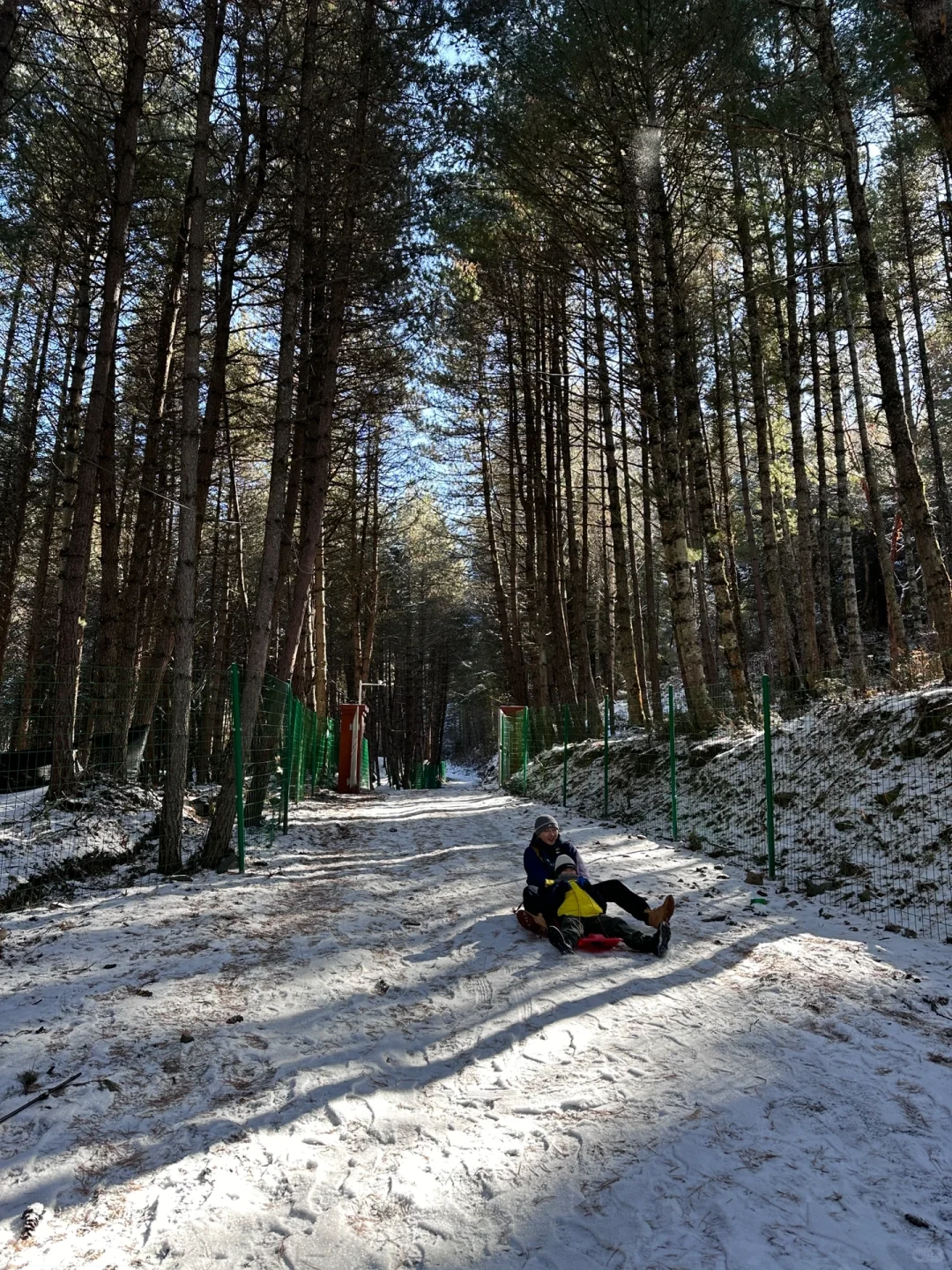 当日往返‼️成都周边🆓童话雪世界❄️附live图
