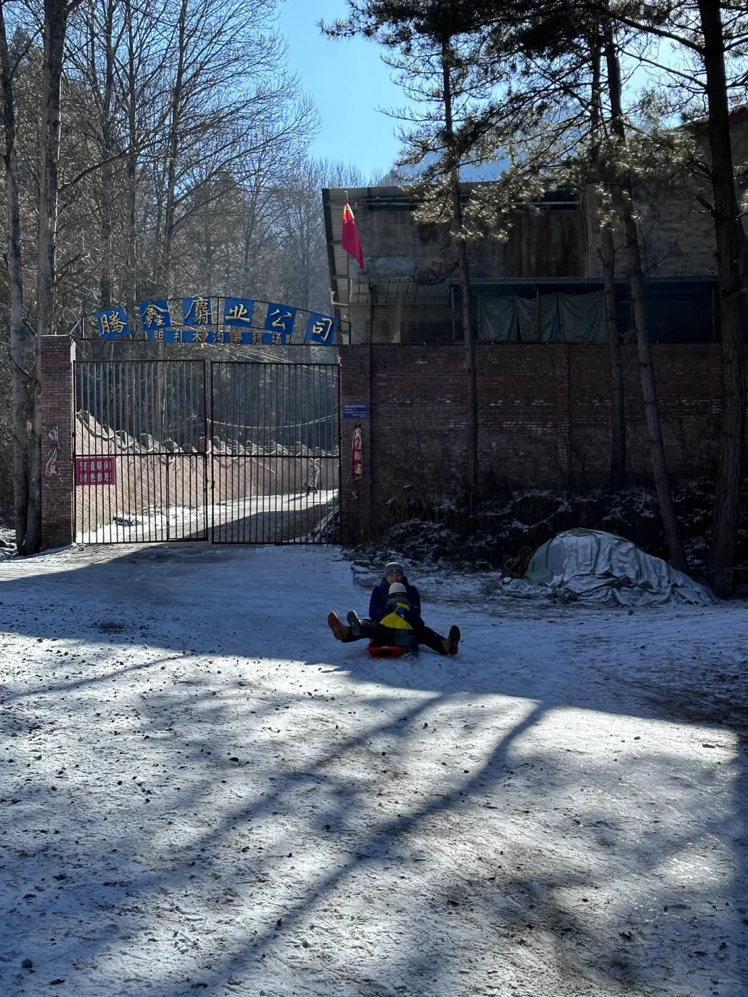 当日往返‼️成都周边🆓童话雪世界❄️附live图