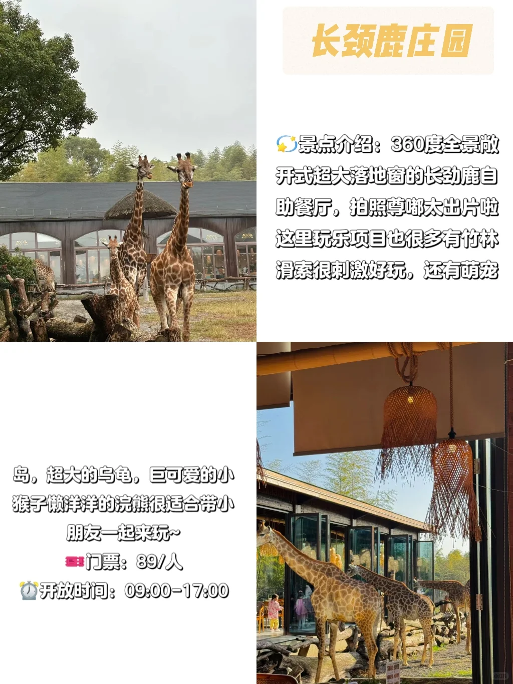 莫干山旅游景点攻略！！旅游前必看❗❗-