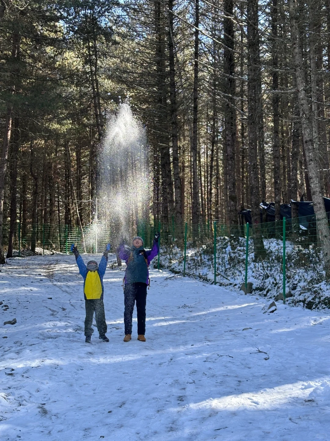 当日往返‼️成都周边🆓童话雪世界❄️附live图