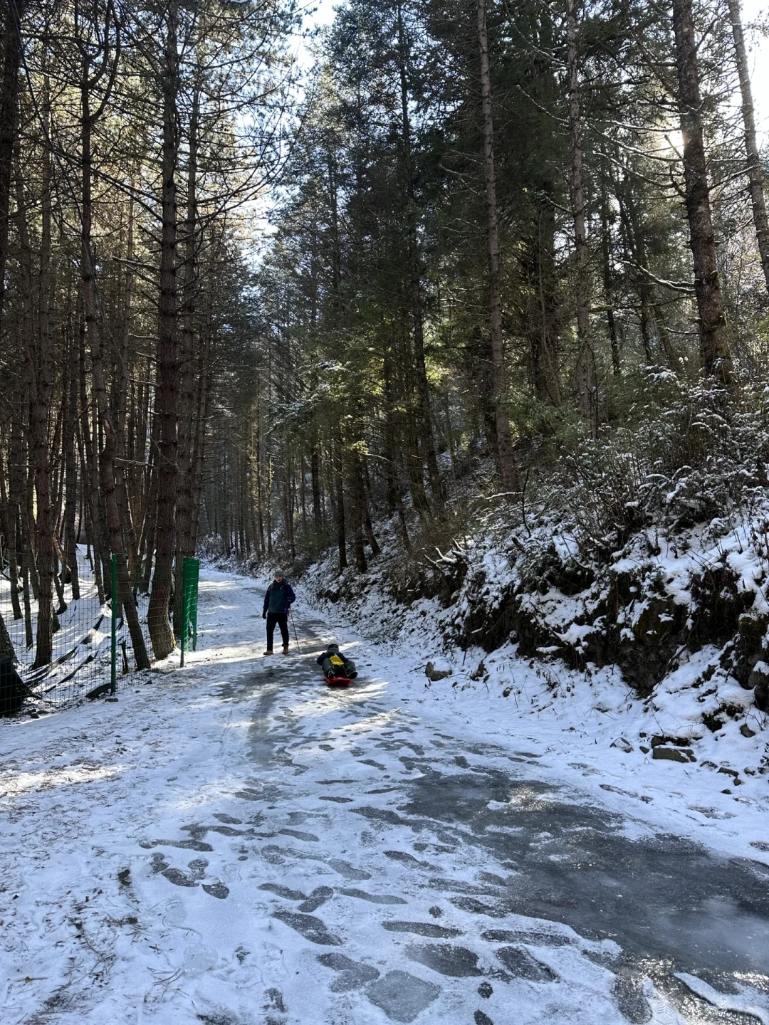 当日往返‼️成都周边🆓童话雪世界❄️附live图