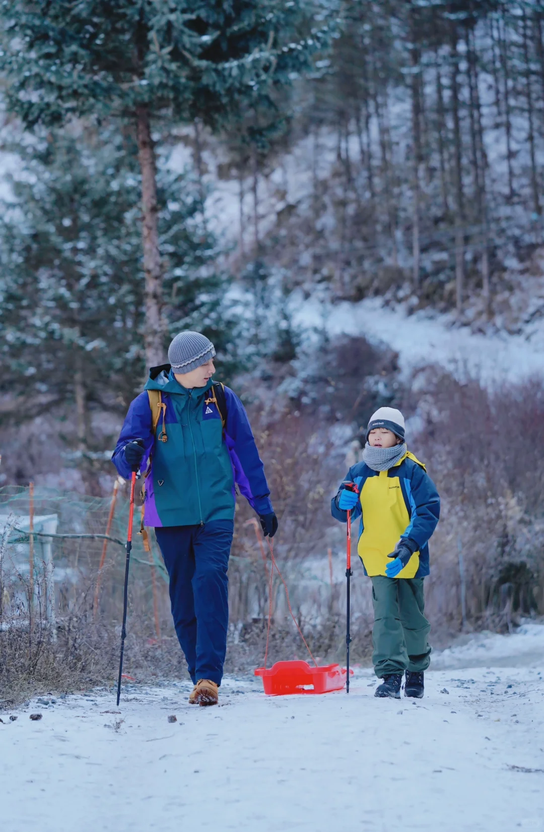 当日往返‼️成都周边🆓童话雪世界❄️附live图