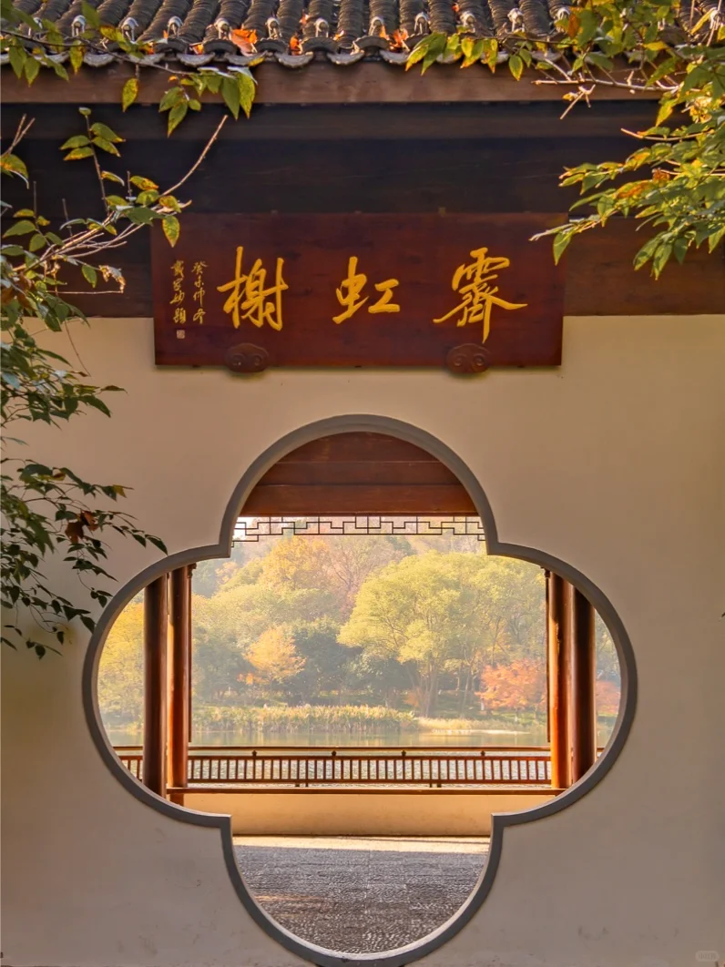 紧邻西湖‼️本地人都爱逛的小众赏秋公园！🍁