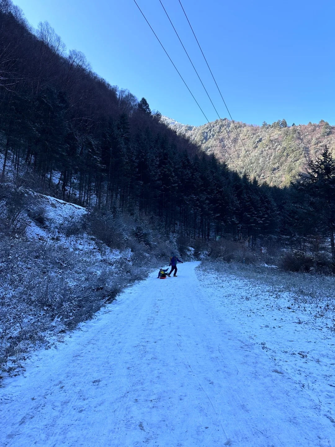当日往返‼️成都周边🆓童话雪世界❄️附live图