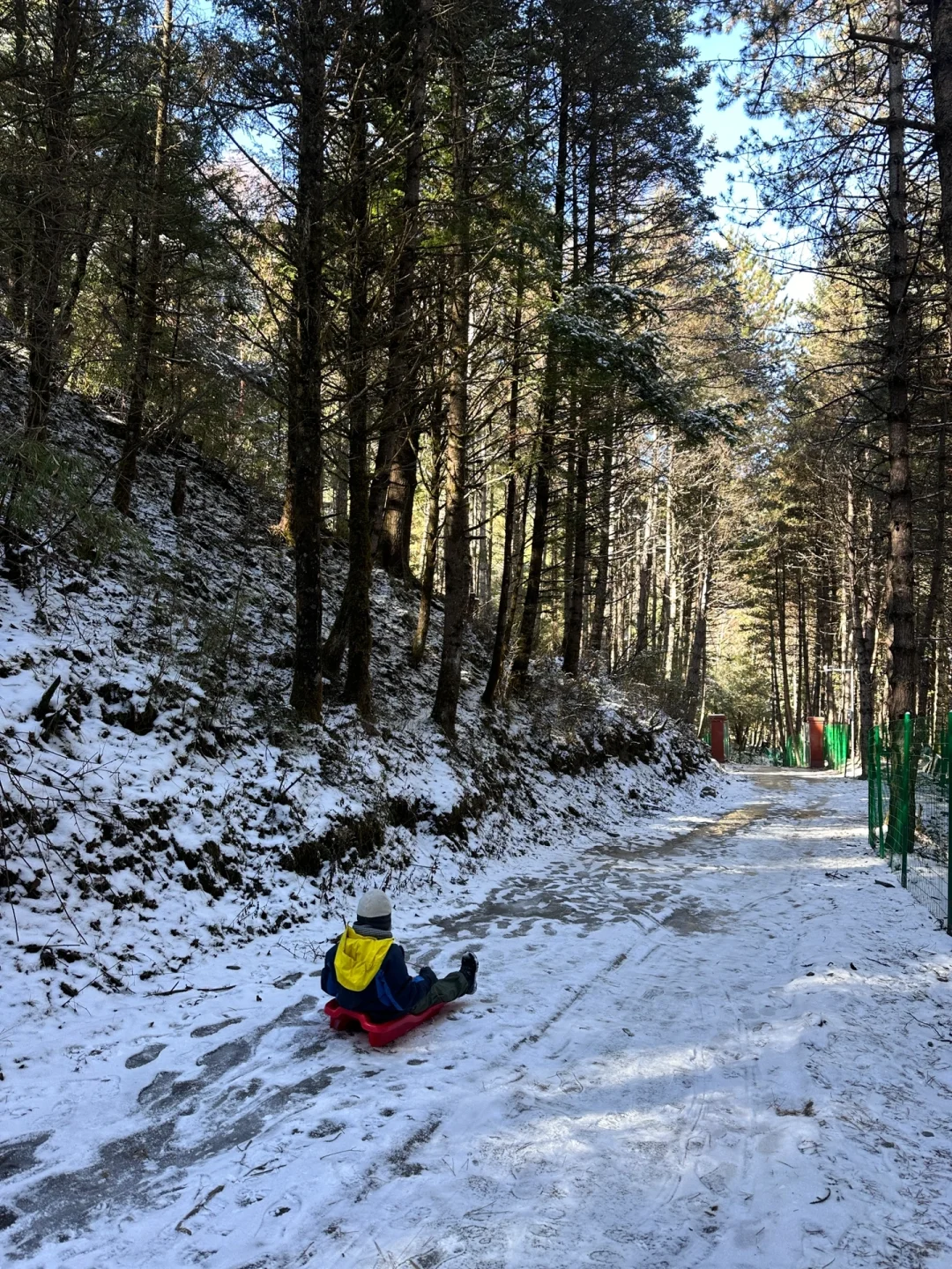 当日往返‼️成都周边🆓童话雪世界❄️附live图
