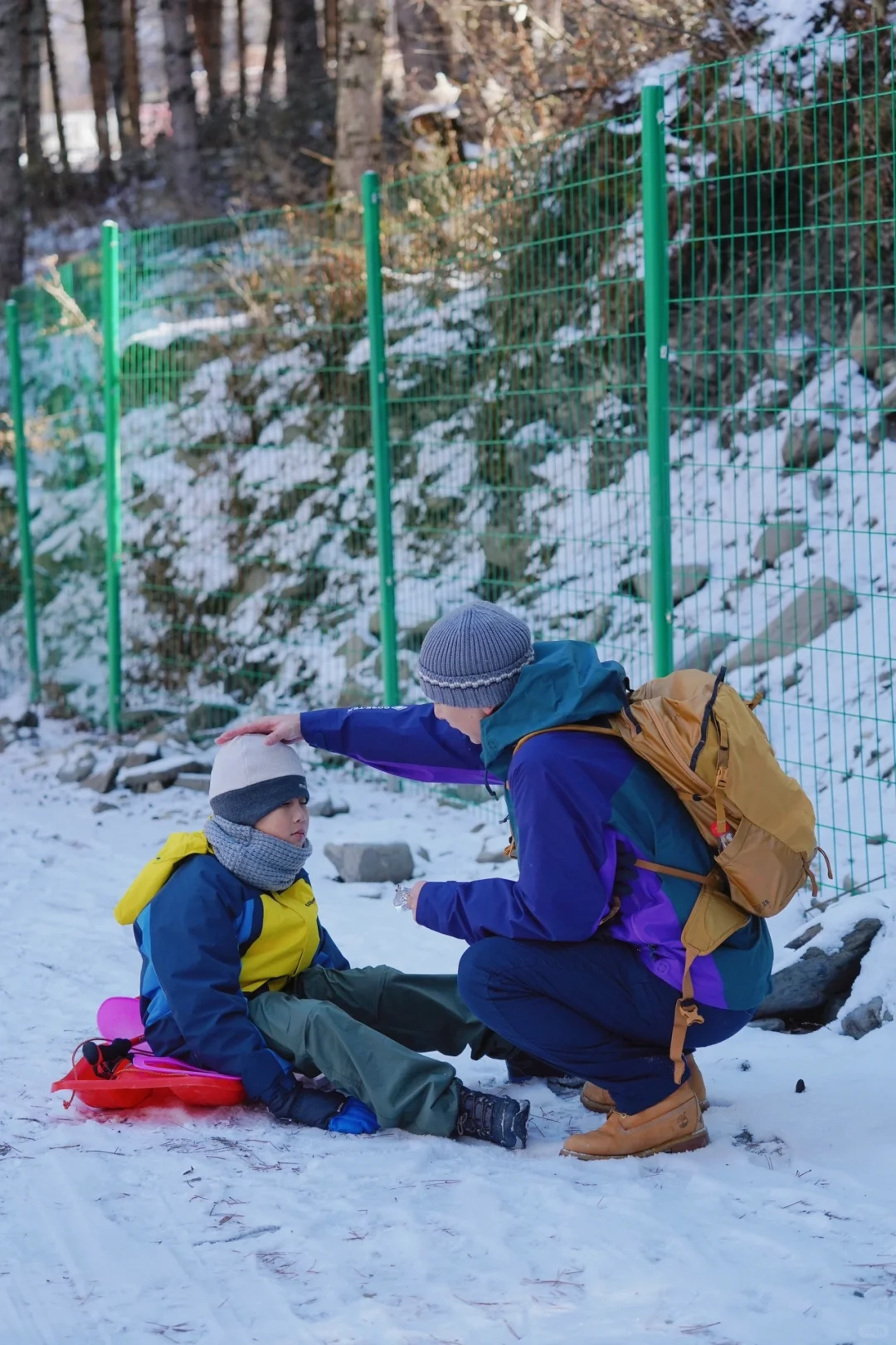 当日往返‼️成都周边🆓童话雪世界❄️附live图