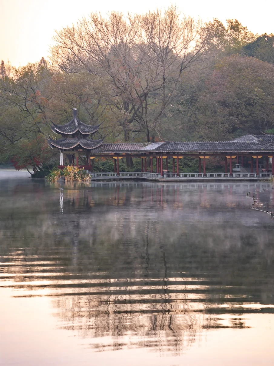 紧邻西湖‼️本地人都爱逛的小众赏秋公园！🍁