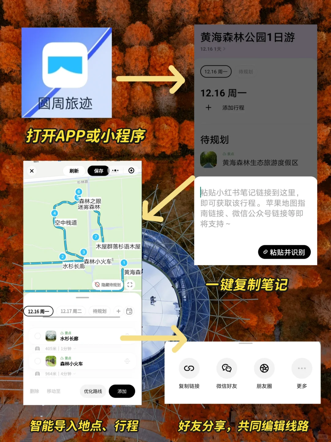 人少景美，这里的水杉丛林秘境像童话‼️