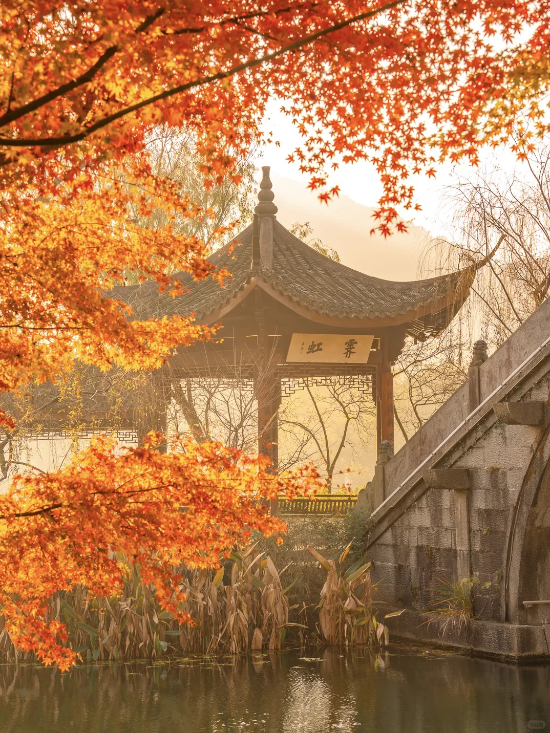 紧邻西湖‼️本地人都爱逛的小众赏秋公园！🍁