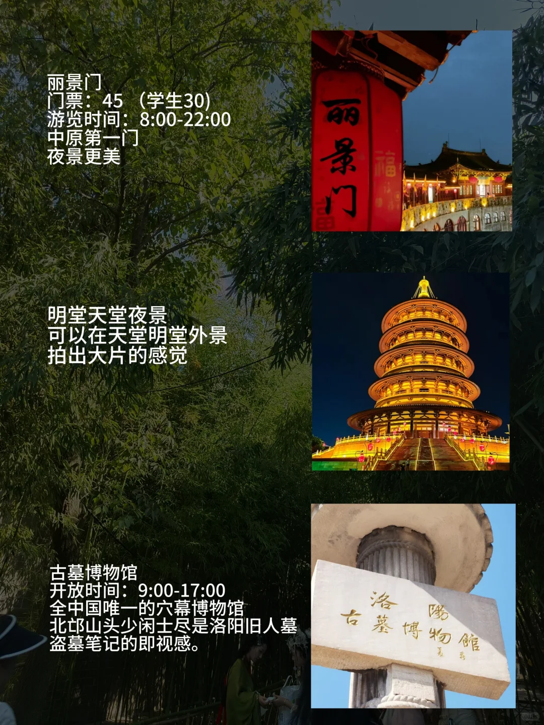 洛阳会惩罚每一个不提前预约的人🤔