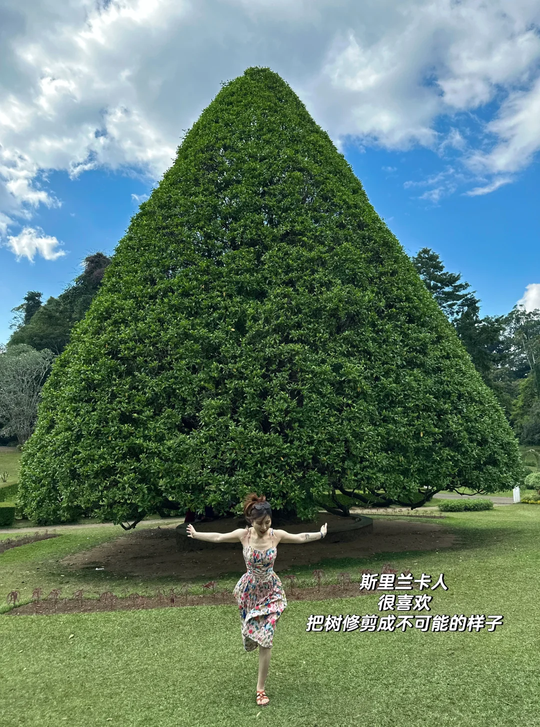 我放弃泰国了😭斯里兰卡真的又便宜又安全！