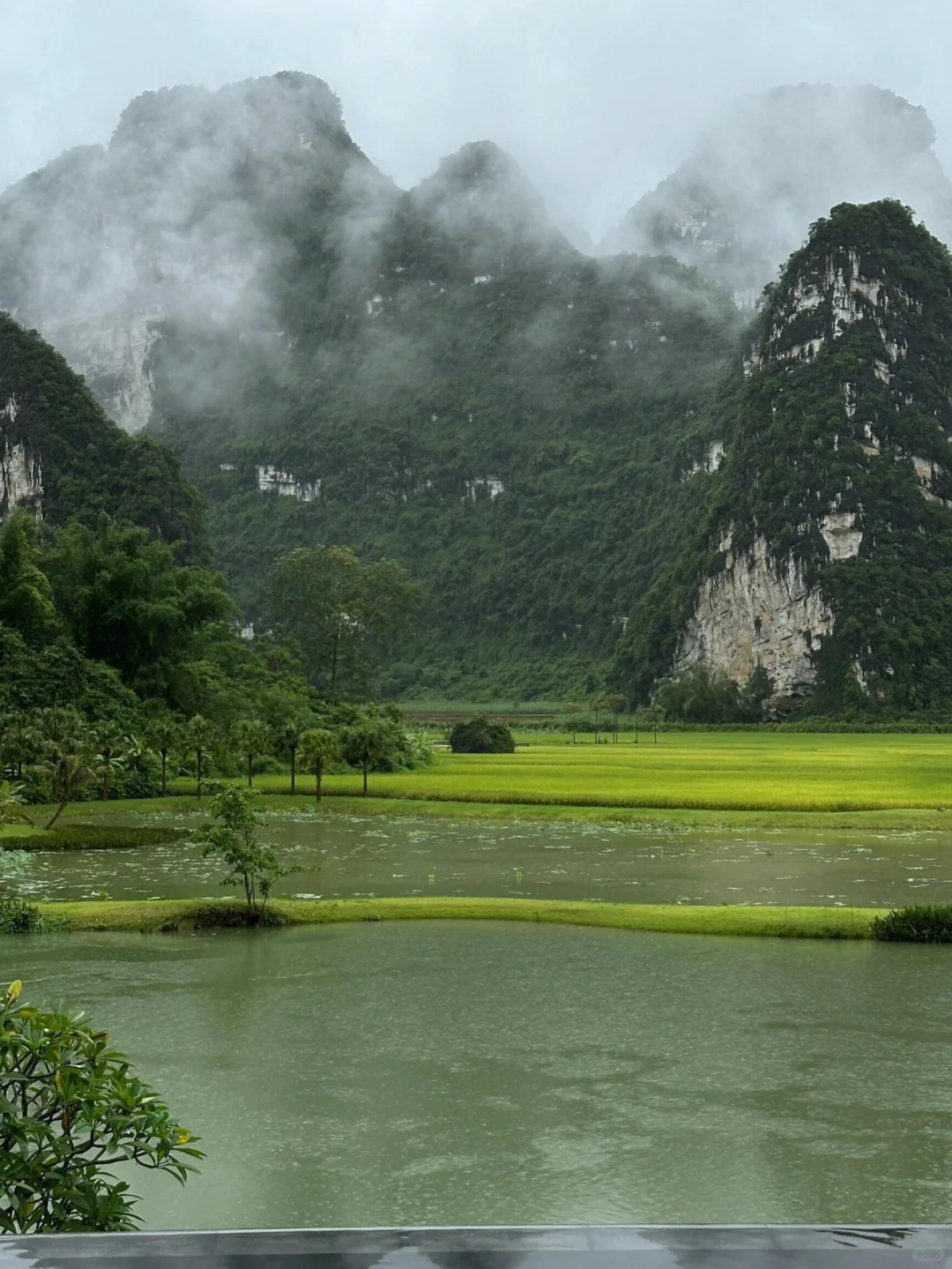 崇左旅行死磕这家！1088/3天😭还送下午茶