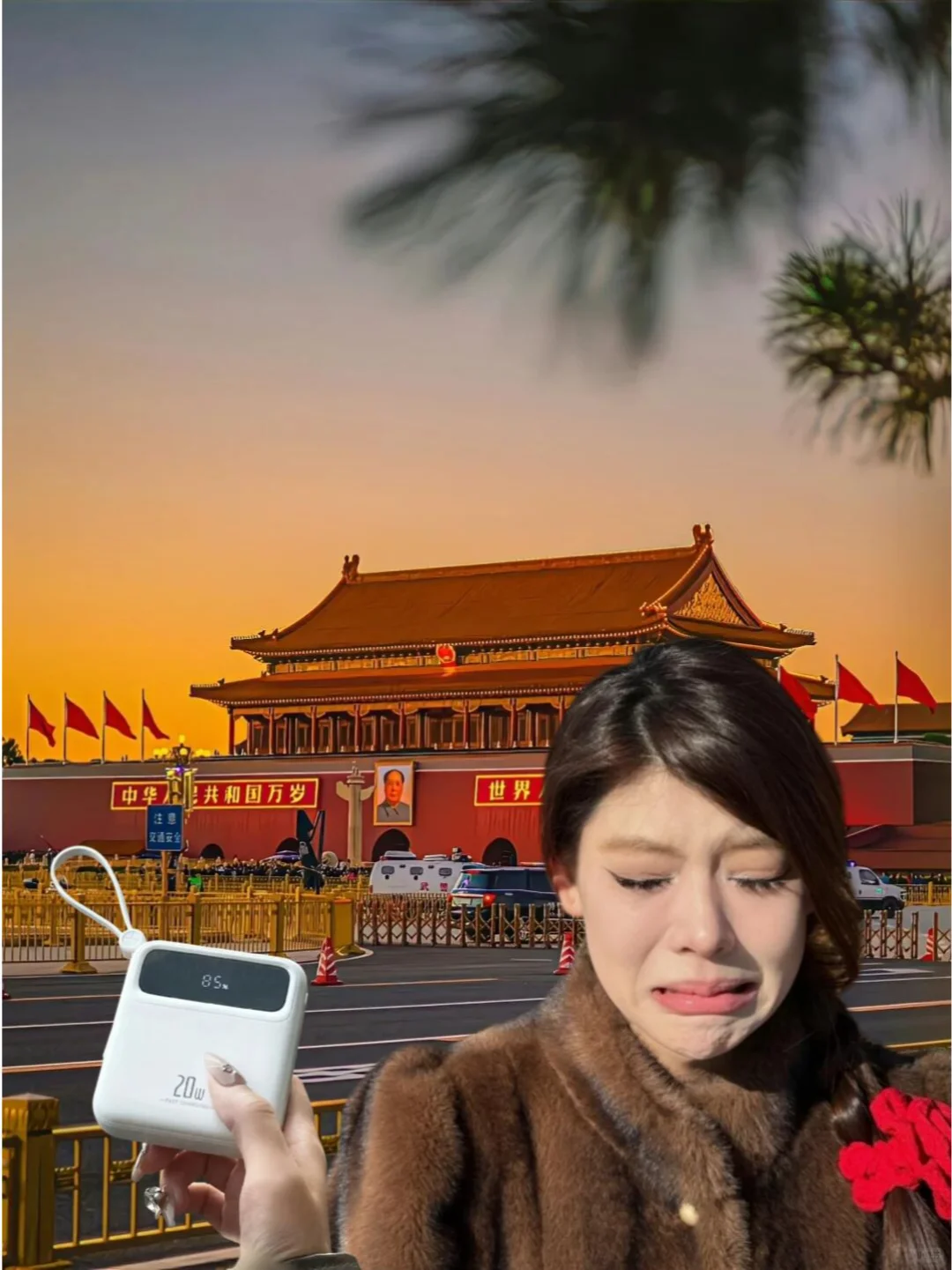 北京会惩罚每一个爱乱带充电宝的人。。。