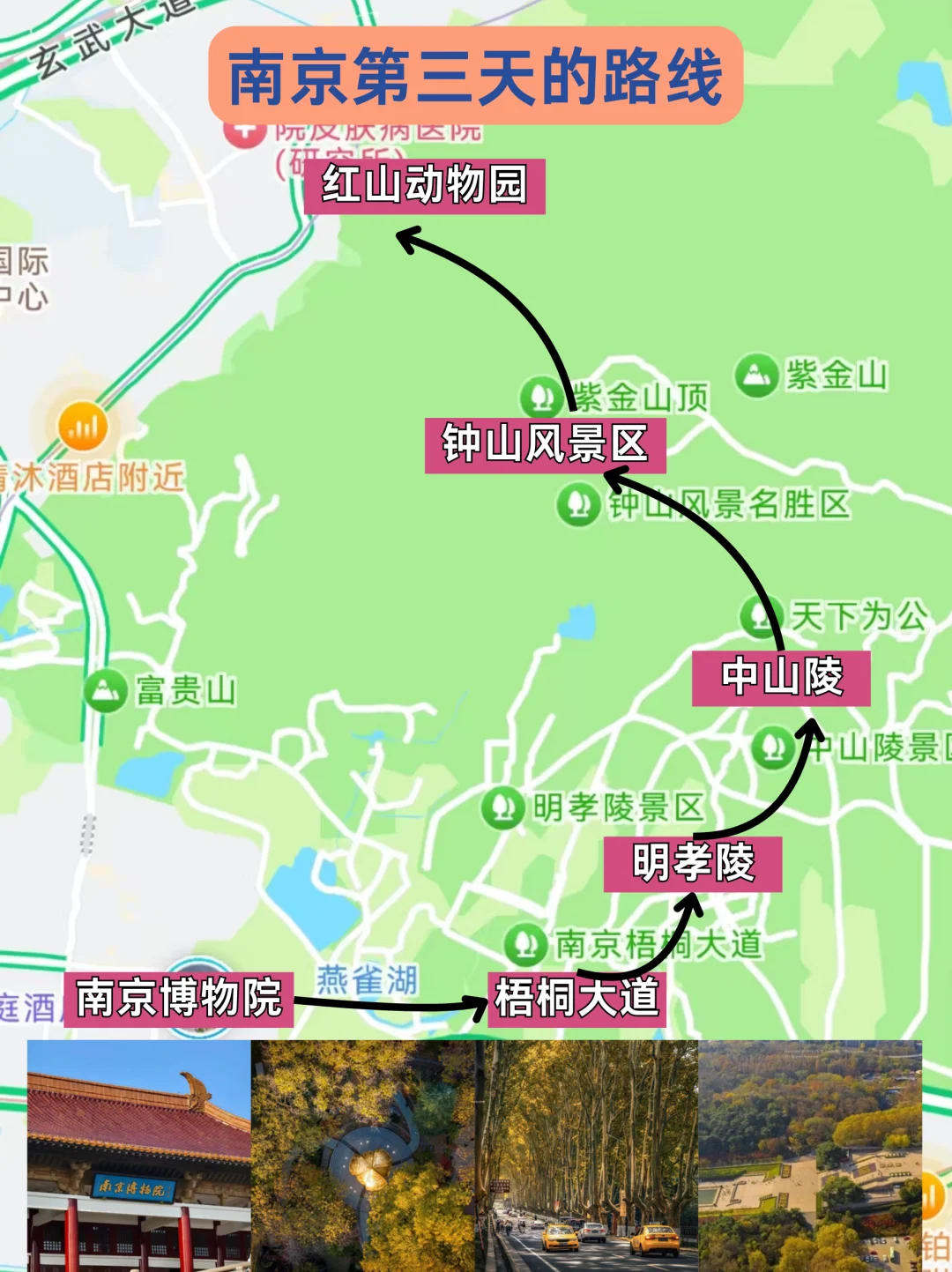 南京已回🤧真诚提醒12-2月来的👭