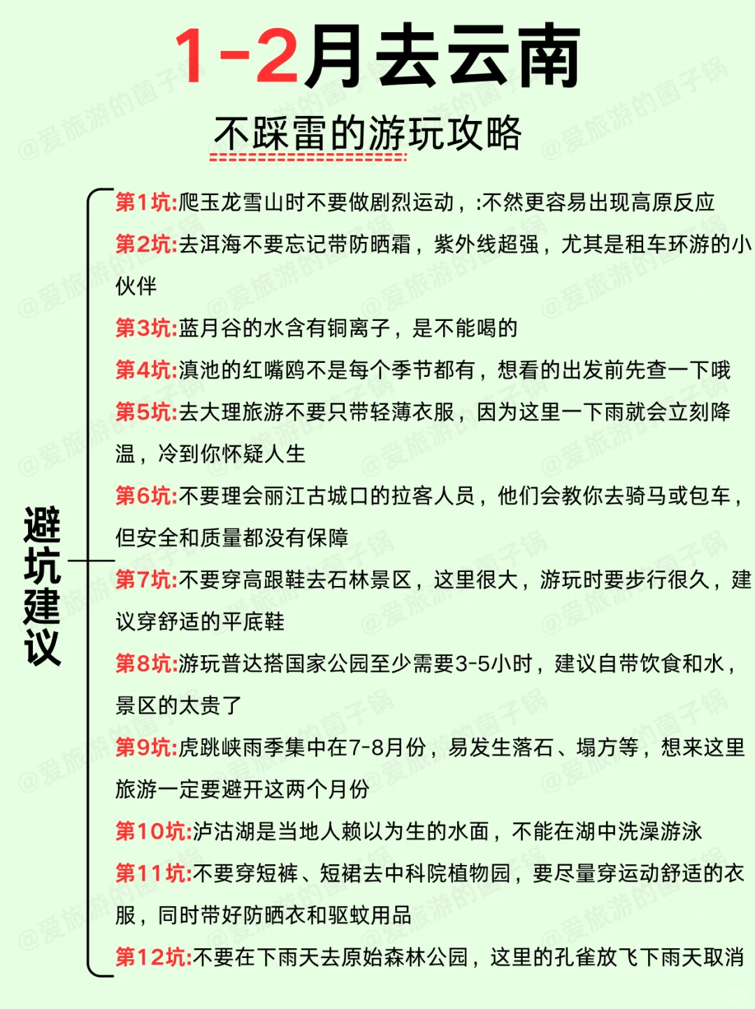 终于把云南旅游说明白了‼️