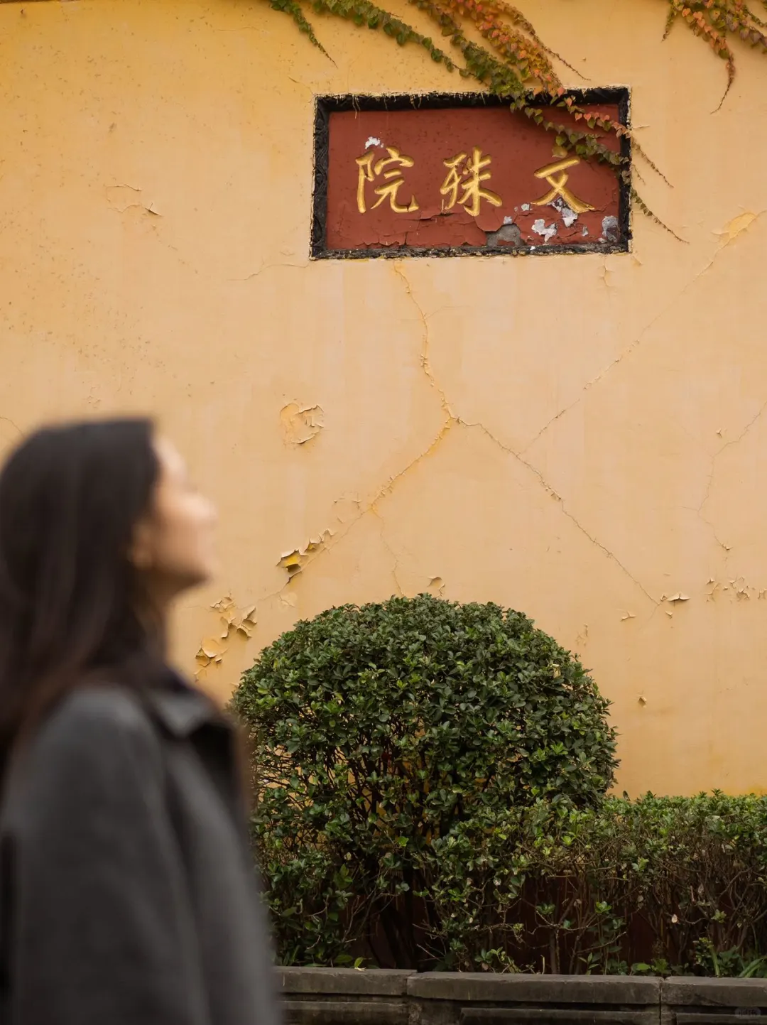 成都详细版旅游攻略！建议直接抄！！