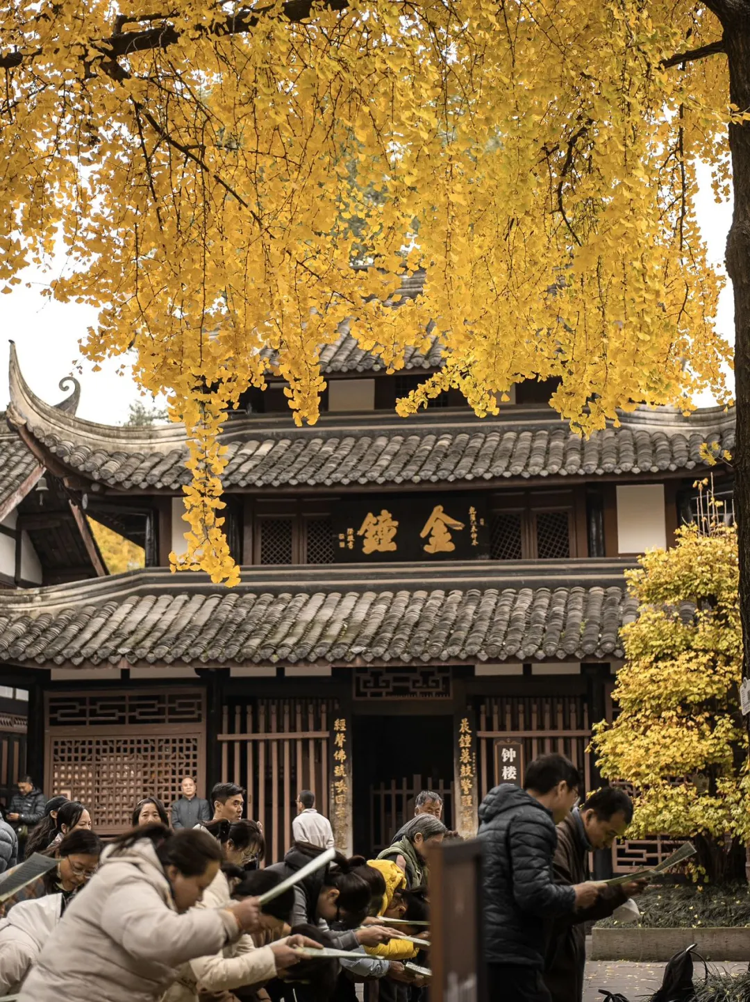 成都详细版旅游攻略！建议直接抄！！