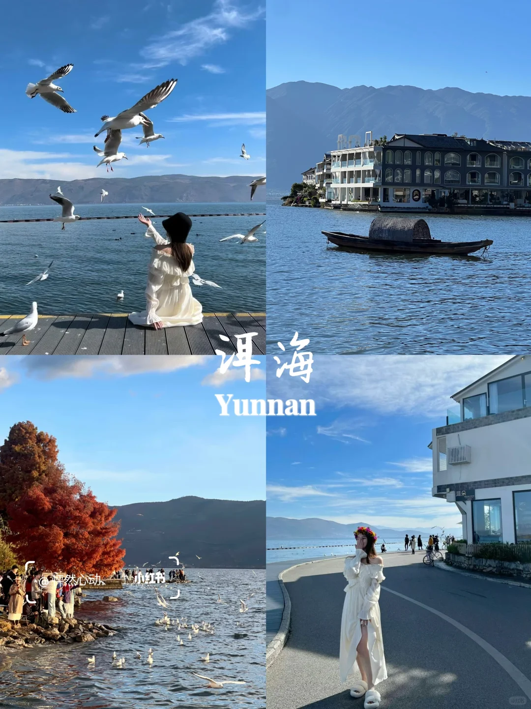 云南旅游👫七天花了2300💰真实感受