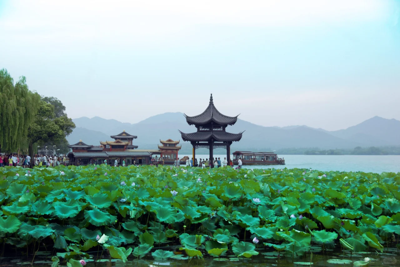 ✨杭州旅游攻略 | 人间天堂超详细玩法🎉