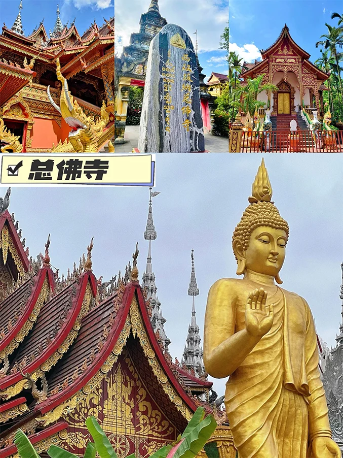西双版纳7天6晚旅游攻略！✈全程不回头！