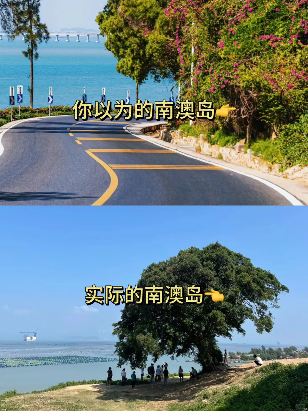 你以为的南澳岛 实际的南澳岛。。