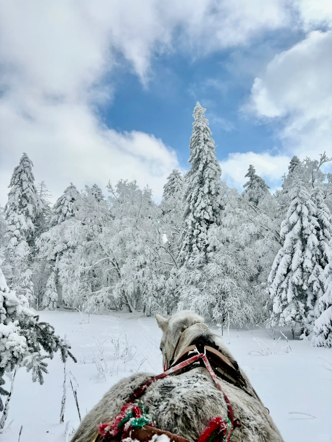 误闯童话世界❄️冬天的长白山是冬日一份情书