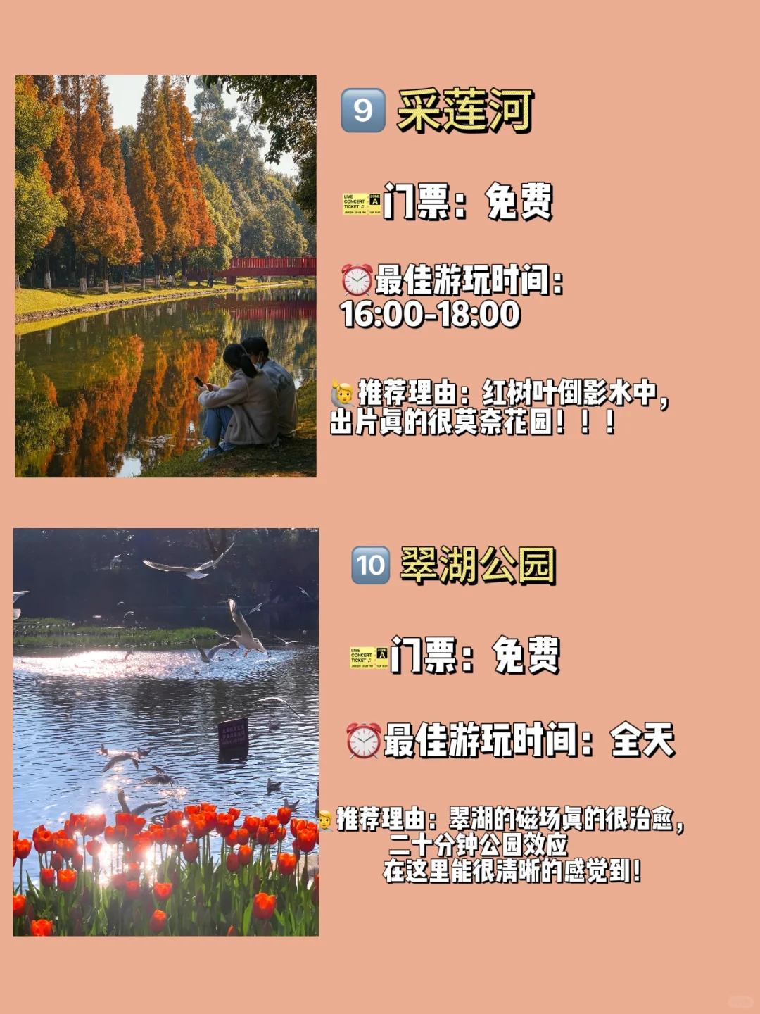 人生建议✨ 秋冬必来美爆的昆明 | 超全攻略