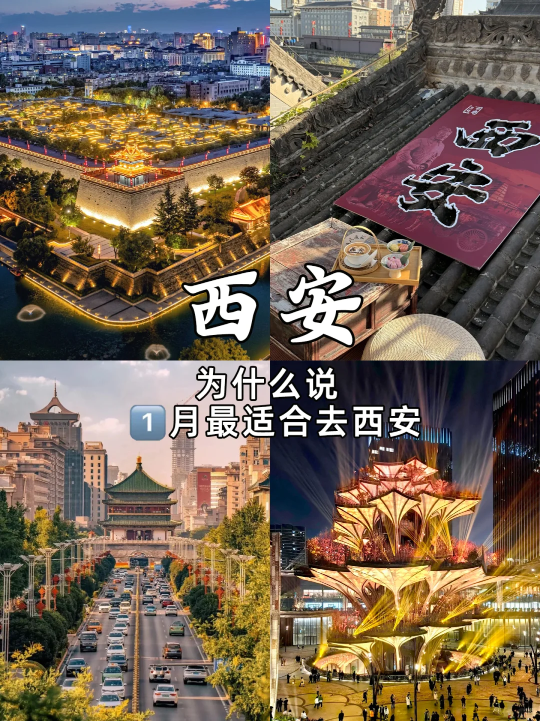 为什么说1月份最适合去西安？