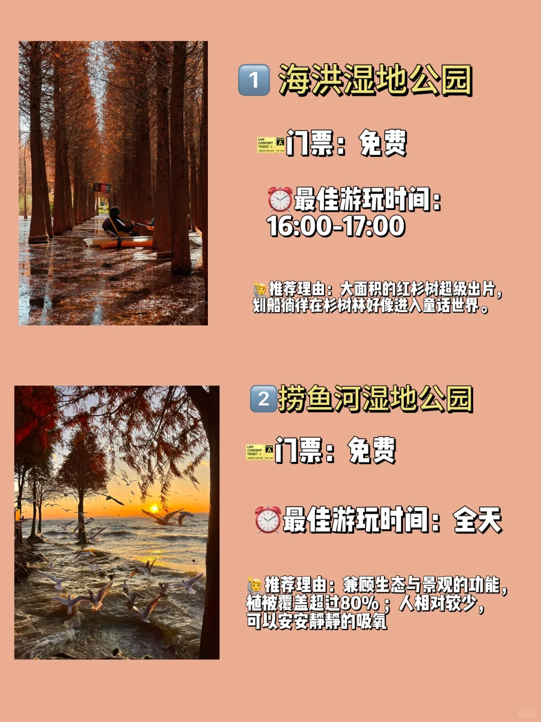 人生建议✨ 秋冬必来美爆的昆明 | 超全攻略