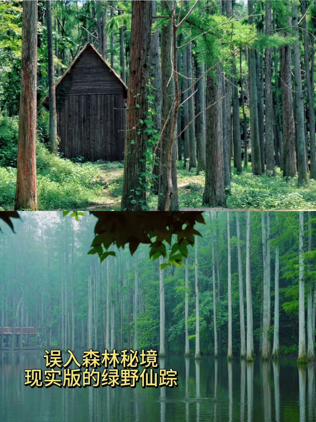 信阳3日游🍃 感受春日的河南版小江南
