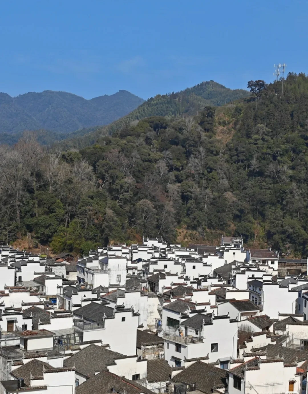 淡季的婺源体验感拉满：半城山水，半城烟火